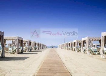 Foto 33 - Villa Forte dei Marmi - foto 32