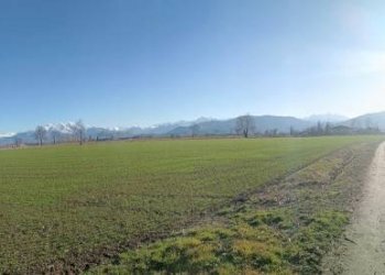 Terreno - Rustico via Passatore la Romagna, 4, Caraglio - foto 5