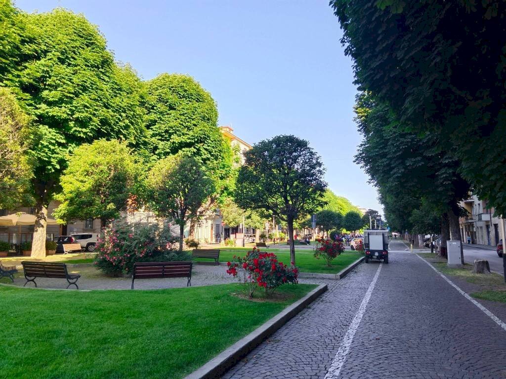 Zona - Negozio corso Dante Alighieri, Cuneo (zona Centro) - foto 3