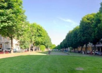 Zona - Shop corso Dante Alighieri, Cuneo (neighborhood Centro) - photo 1