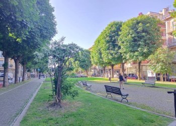 Zona - Shop corso Dante Alighieri, Cuneo (neighborhood Centro) - photo 2