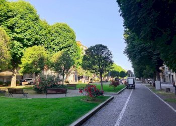 Zona - Shop corso Dante Alighieri, Cuneo (neighborhood Centro) - photo 3