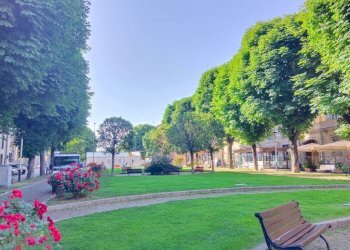 Zona - Shop corso Dante Alighieri, Cuneo (neighborhood Centro) - photo 4