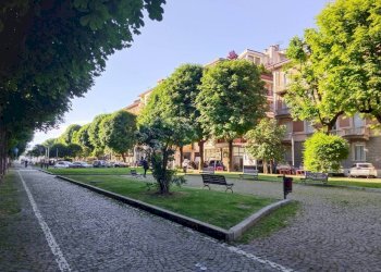 Zona - Shop corso Dante Alighieri, Cuneo (neighborhood Centro) - photo 9