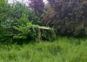 Terreno - Rustico via Santuario, 187, Boves - foto 4