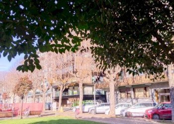 Giardino - Bilocale corso Dante Alighieri, 47, Cuneo (zona Centro) - foto 6