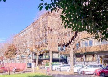 Giardino - Bilocale corso Dante Alighieri, 47, Cuneo (zona Centro) - foto 7