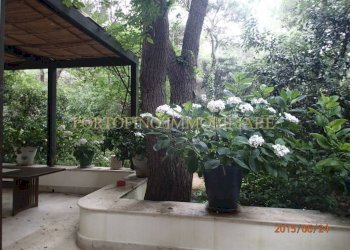 Giardino - Villa strada Bivio Riva dei Tessali, 30, Castellaneta - foto 11