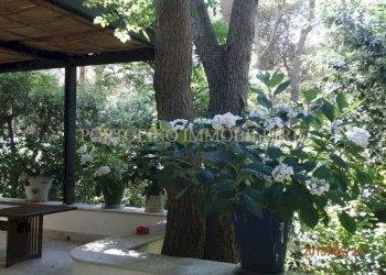 Giardino - Villa strada Bivio Riva dei Tessali, 30, Castellaneta - foto 14