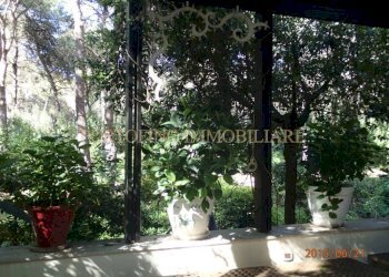 Giardino - Villa strada Bivio Riva dei Tessali, 30, Castellaneta - foto 15