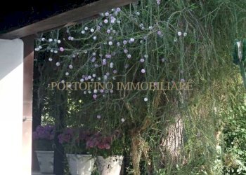 Giardino - Villa strada Bivio Riva dei Tessali, 30, Castellaneta - foto 19