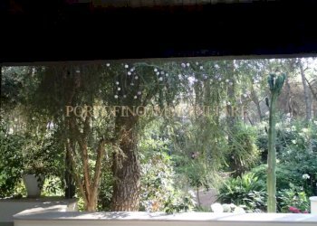 Zona - Villa strada Bivio Riva dei Tessali, 30, Castellaneta - foto 32