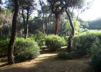 Terreno - Villa strada Bivio Riva dei Tessali, 30, Castellaneta - foto 39