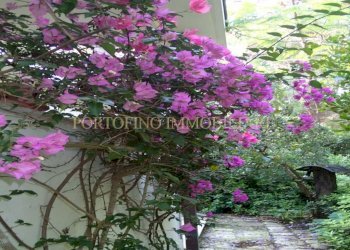 Giardino - Villa strada Bivio Riva dei Tessali, 30, Castellaneta - foto 42