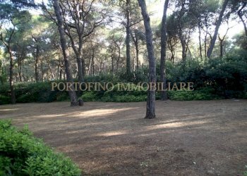 Giardino - Villa strada Bivio Riva dei Tessali, 30, Castellaneta - foto 45