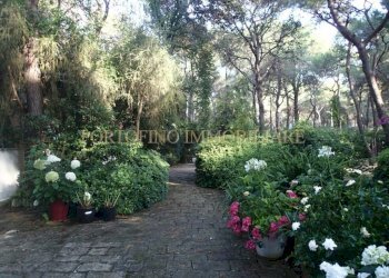 Giardino - Villa strada Bivio Riva dei Tessali, 30, Castellaneta - foto 46