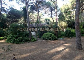 Giardino - Villa strada Bivio Riva dei Tessali, 30, Castellaneta - foto 47