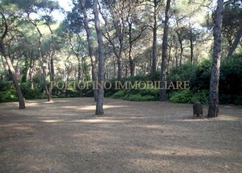 Giardino - Villa strada Bivio Riva dei Tessali, 30, Castellaneta - foto 50