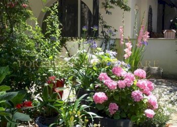 Giardino - Villa Lungomare Eroi del Mare, 28, Castellaneta - foto 15