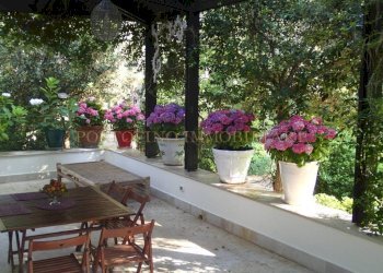 Giardino - Villa Lungomare Eroi del Mare, 28, Castellaneta - foto 16