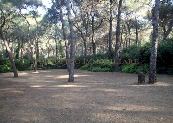 Giardino - Villa Lungomare Eroi del Mare, 28, Castellaneta - foto 50