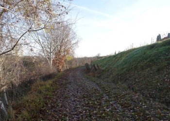 Terreno - Rustic strada Bricco, Nizza Monferrato - photo 29
