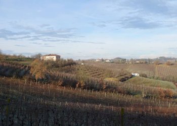 Vista - Rustico strada Bricco, Nizza Monferrato - foto 30