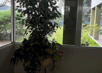 Quadrilocale Via Mazzini, Novate Milanese - foto 23