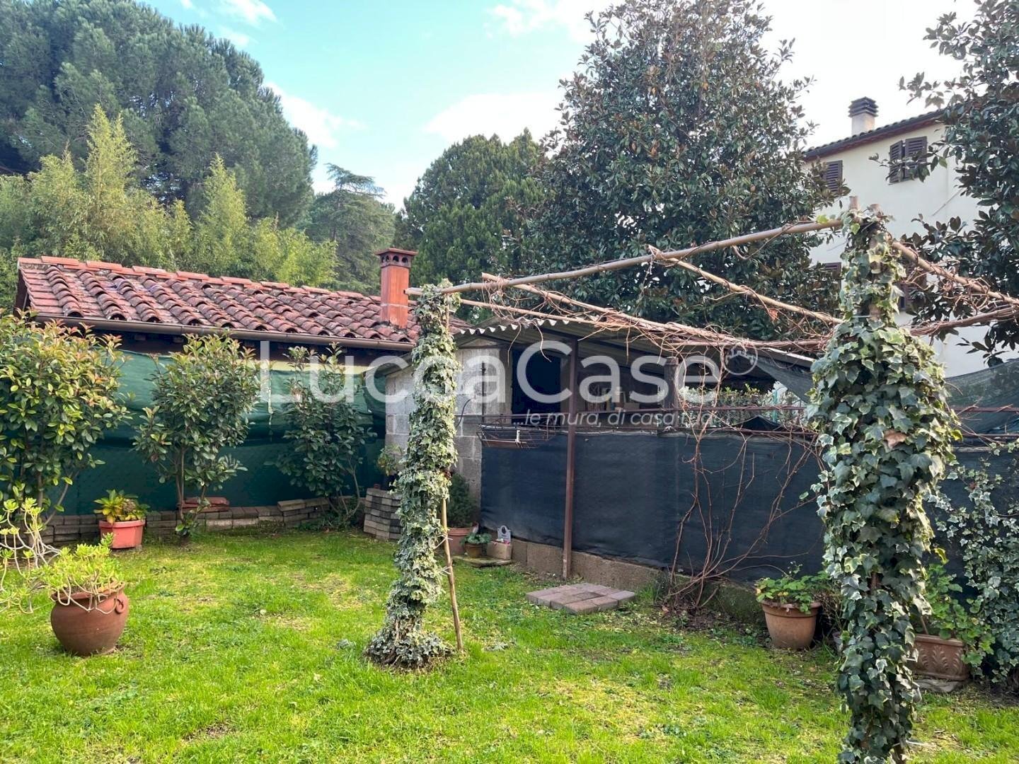 Terratetto - Terracielo Capannori - foto 3