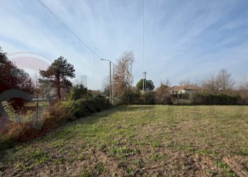 Foto 5 - Rustico Via Campanile
 
snc, Arce - foto 5