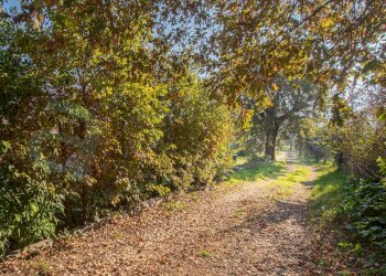 Foto 8 - Casa indipendente Via Marittima
 
53, Prossedi - foto 8