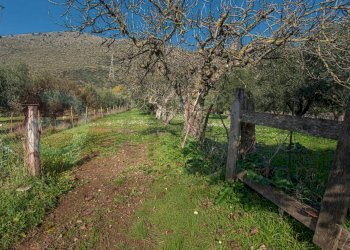 Foto 52 - Casa indipendente Via Marittima
 
53, Prossedi - foto 52