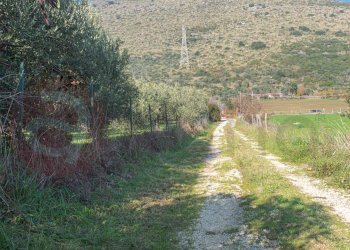 Foto 77 - Casa indipendente Via Marittima
 
53, Prossedi - foto 77