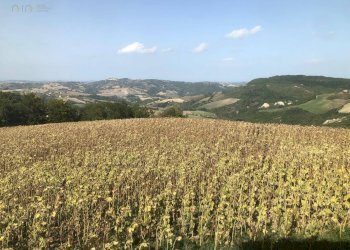 Foto 13 - Appartamento C.da San Taddeo
 
10, Force - foto 13