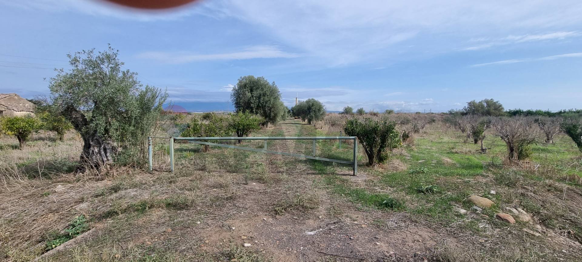 Non correlato - Agricultural land Contrada Gerbini
 
snc, Paterno - photo 1