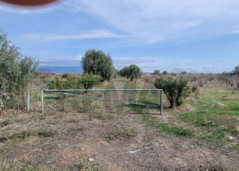 Non correlato - Terreno agricolo Contrada Gerbini
snc, Paterno - foto 1