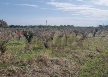 Vista delle montagne - Terreno agricolo Contrada Gerbini
snc, Paterno - foto 8