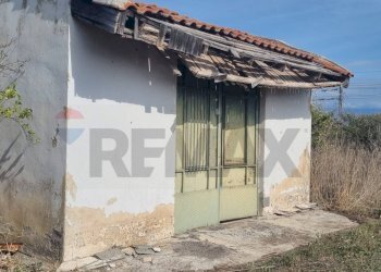 Casa all\'aperto - Terreno agricolo Contrada Gerbini
snc, Paterno - foto 11