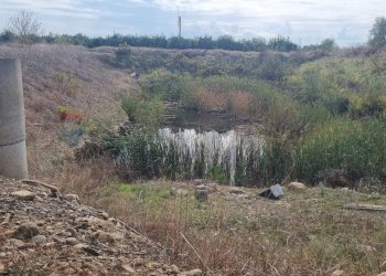 Non correlato - Terreno agricolo Contrada Gerbini
snc, Paterno - foto 12