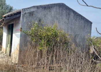 Vista delle montagne - Terreno agricolo Contrada Gerbini
snc, Paterno - foto 13