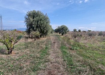 Non correlato - Terreno agricolo Contrada Gerbini
snc, Paterno - foto 14