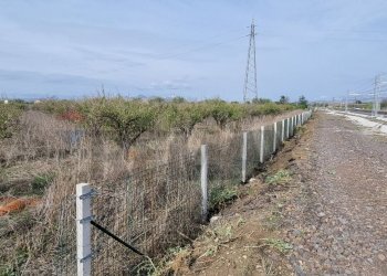 Non correlato - Terreno agricolo Contrada Gerbini
snc, Paterno - foto 15
