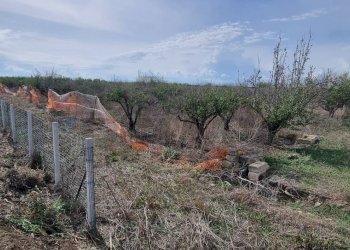 Vista delle montagne - Terreno agricolo Contrada Gerbini
snc, Paterno - foto 17