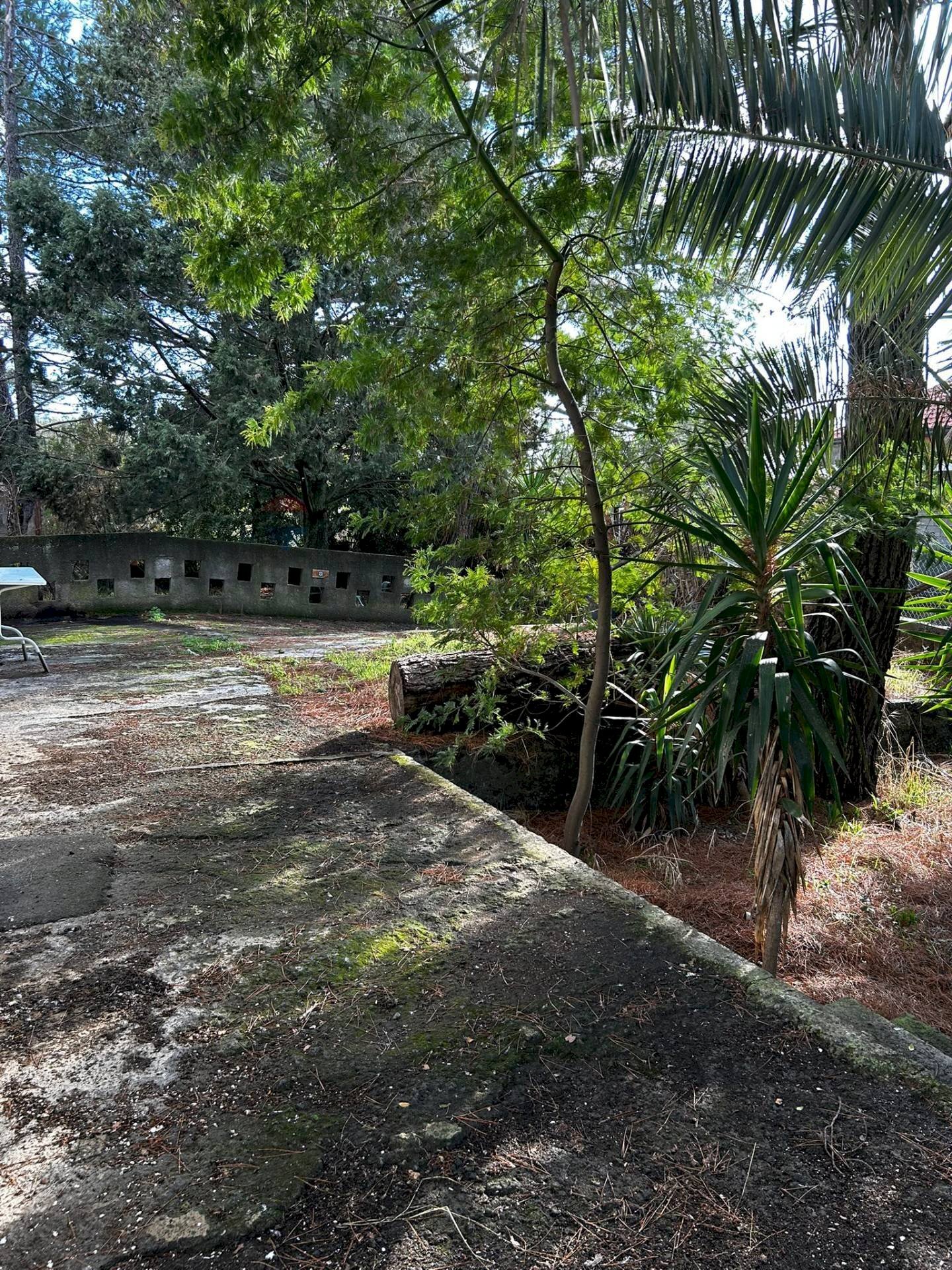 Giardino - Villa Contrada Segreta
snc, Belpasso - photo 2