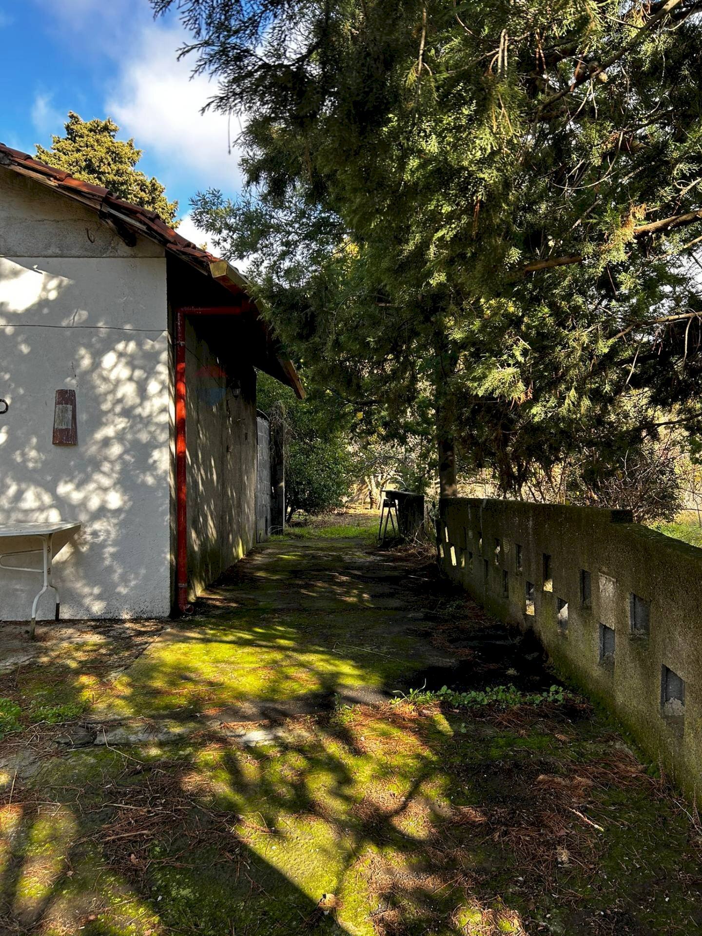 Giardino - Villa Contrada Segreta
snc, Belpasso - photo 3