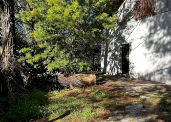 Giardino - Villa Contrada Segreta
 
snc, Belpasso - foto 8