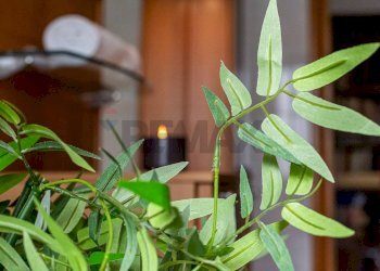 Dettagli - Quadrilocale Via di Decima
 
256, Roma - foto 4