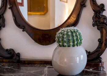 Dettagli - Quadrilocale Via di Decima
 
256, Roma - foto 15