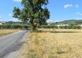 Giardino - Independent house Via Prestille, Assisi - photo 8