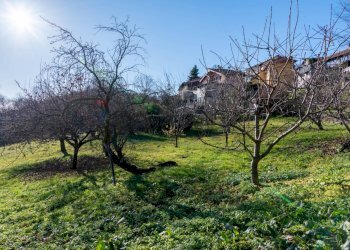 Giardino - Villa Lovario
 
40, Borgosesia - foto 9